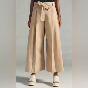 Anthropologie Black and Tan Wide-Leg pant